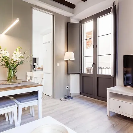 Luxury Bona Apartment