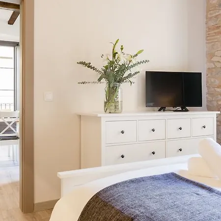 Luxury Bona Apartment Girona